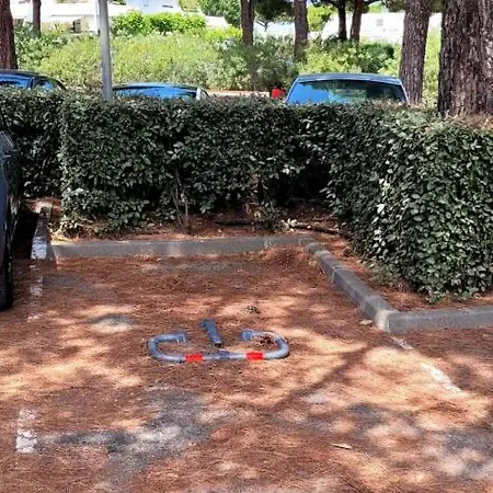 Cocoon Motte Apartmán *